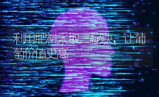 利用肥料采取三秘诀，让葡萄价值更高 | 果木种植