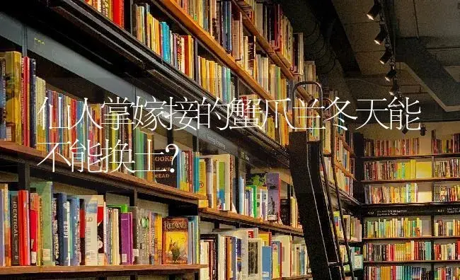 仙人掌嫁接的蟹爪兰冬天能不能换土？ | 多肉养殖