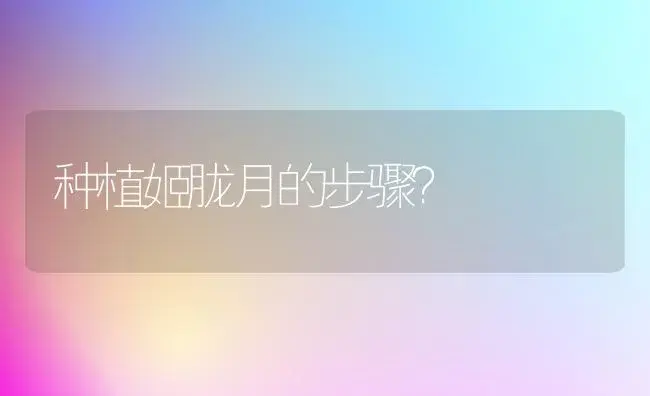 种植姬胧月的步骤？ | 多肉养殖