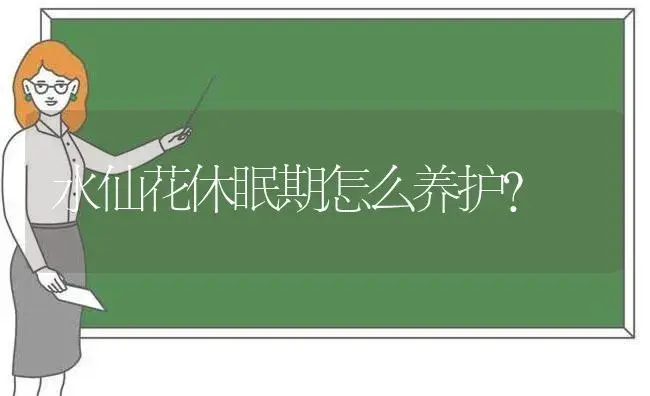 水仙花休眠期怎么养护？ | 绿植常识