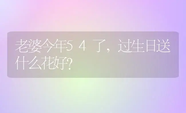 老婆今年54了，过生日送什么花好？ | 绿植常识