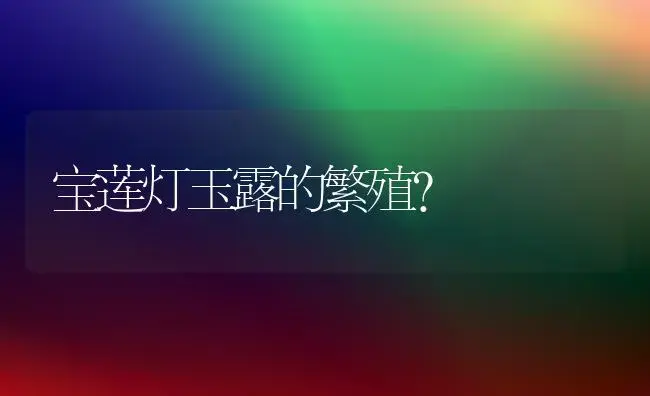 宝莲灯玉露的繁殖？ | 多肉养殖