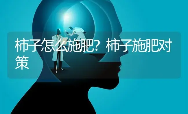 柿子怎么施肥？柿子施肥对策 | 果木种植