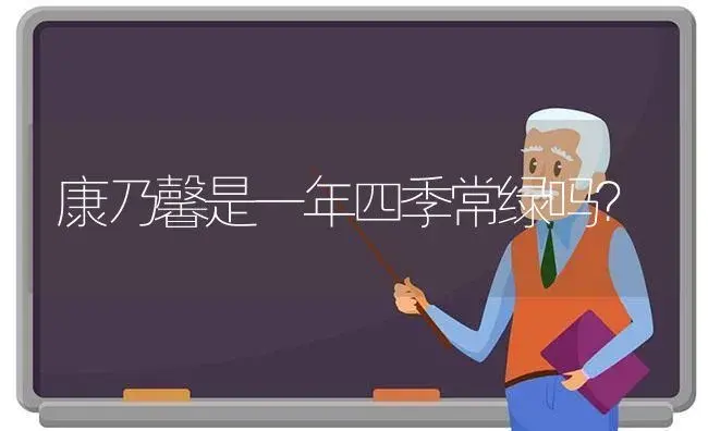 康乃馨是一年四季常绿吗？ | 绿植常识