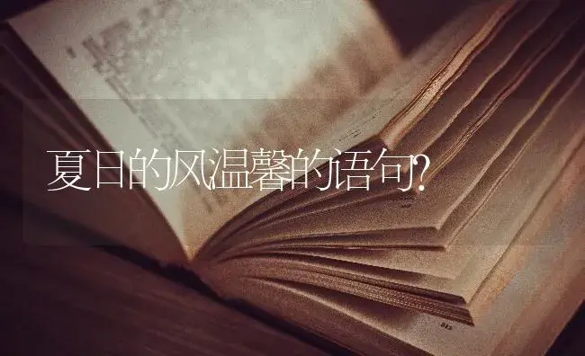 夏日的风温馨的语句？ | 绿植常识