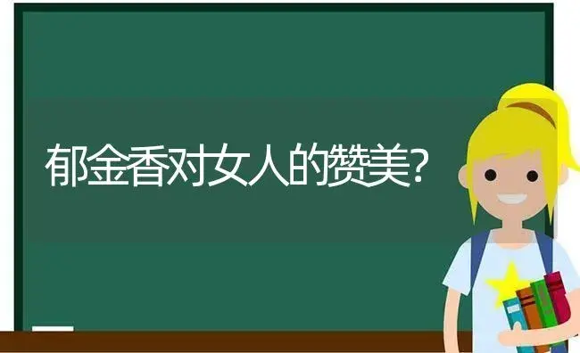 郁金香对女人的赞美？ | 绿植常识