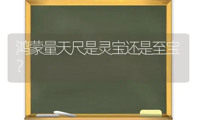 鸿蒙量天尺是灵宝还是至宝？ | 多肉养殖