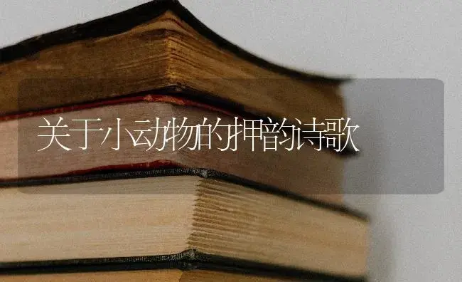 关于小动物的押韵诗歌 | 多肉养殖
