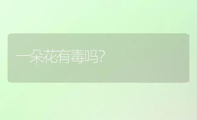 杜鹃树能长多大？ | 绿植常识