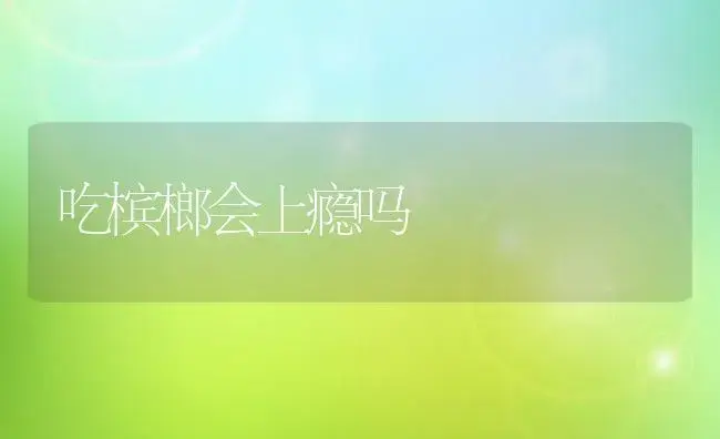 吃槟榔会上瘾吗 | 果木种植