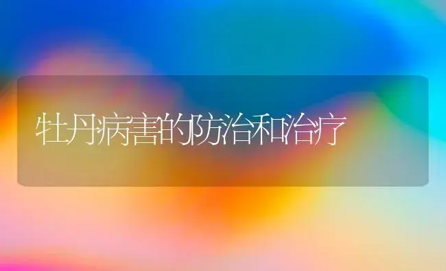 牡丹病害的防治和治疗 | 家庭养花