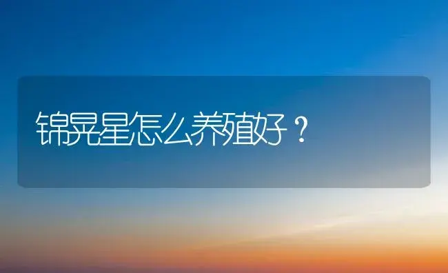 锦晃星怎么养殖好？ | 家庭养花