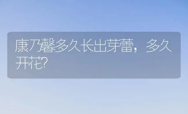 康乃馨多久长出芽蕾，多久开花？ | 绿植常识