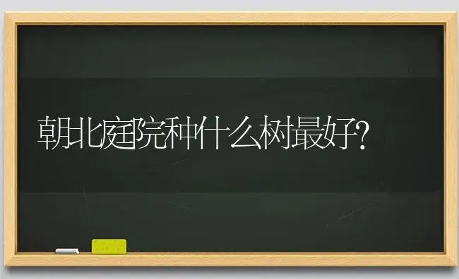 朝北庭院种什么树最好？ | 绿植常识