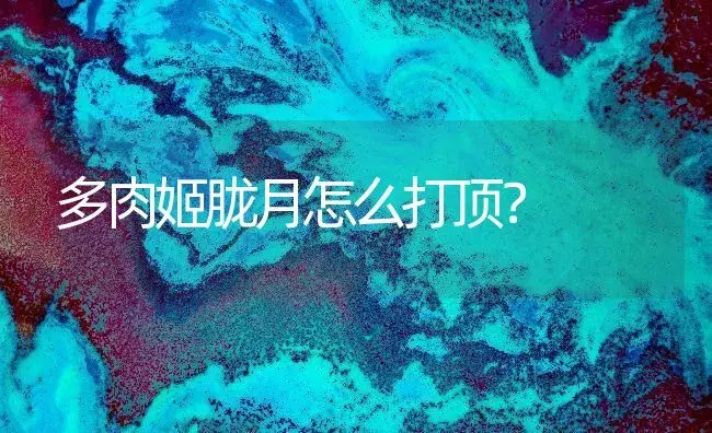 多肉姬胧月怎么打顶？ | 多肉养殖