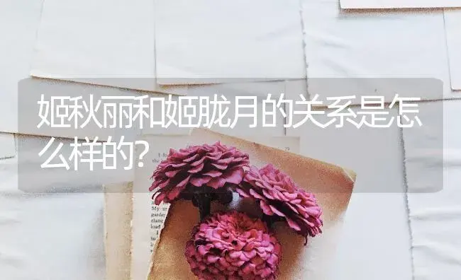 姬秋丽和姬胧月的关系是怎么样的？ | 多肉养殖