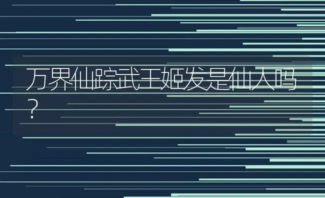 万界仙踪武王姬发是仙人吗？ | 多肉养殖
