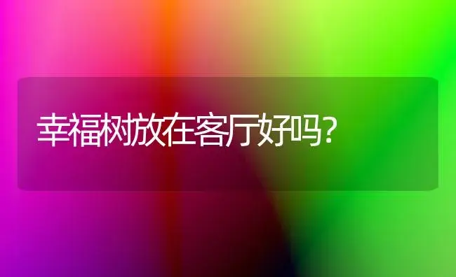 幸福树放在客厅好吗？ | 家庭养花