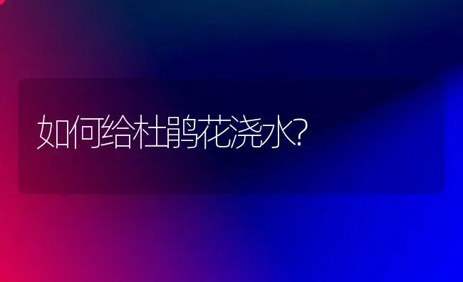 如何给杜鹃花浇水? | 家庭养花