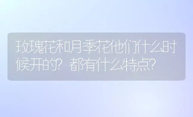 玫瑰花和月季花他们什么时候开的？都有什么特点？ | 绿植常识