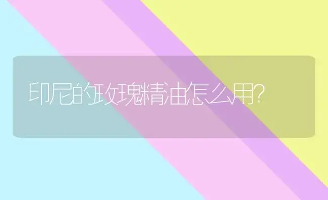 印尼的玫瑰精油怎么用？ | 绿植常识