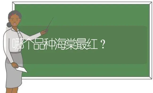 哪个品种海棠最红？ | 绿植常识