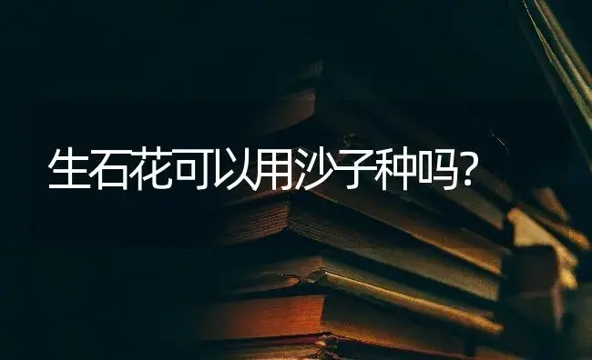 生石花可以用沙子种吗？ | 多肉养殖