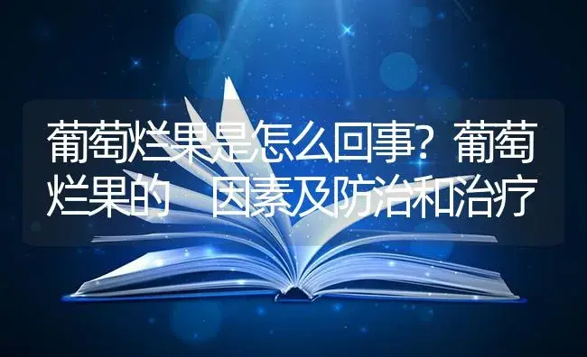 葡萄烂果是怎么回事？葡萄烂果的 因素及防治和治疗 | 果木种植