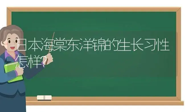 日本海棠东洋锦的生长习性怎样？ | 绿植常识