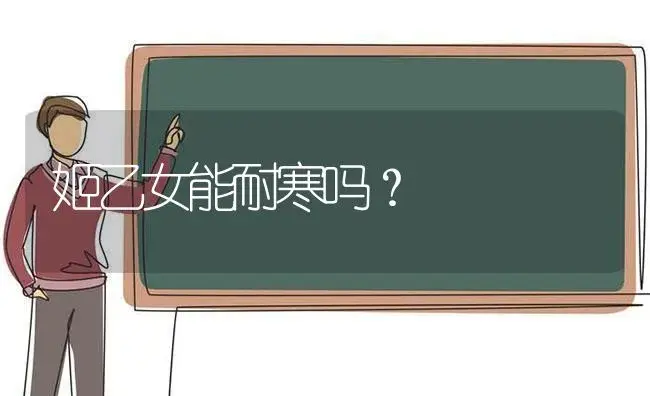 姬乙女能耐寒吗？ | 多肉养殖