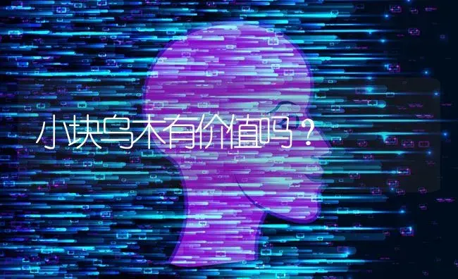 小块乌木有价值吗？ | 多肉养殖