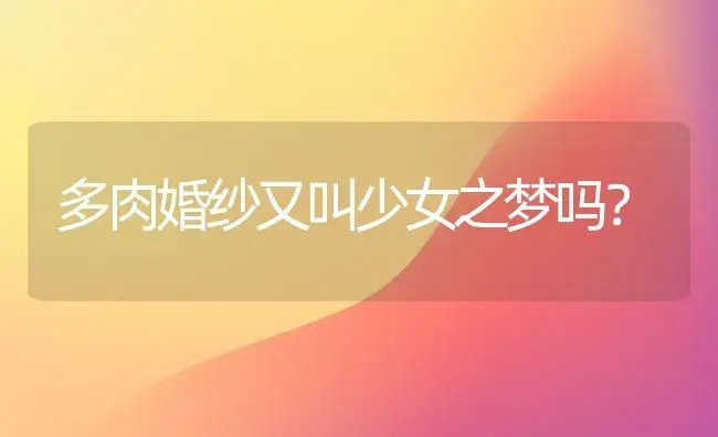 多肉婚纱又叫少女之梦吗？ | 多肉养殖