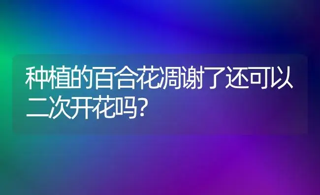 种植的百合花凋谢了还可以二次开花吗？ | 绿植常识