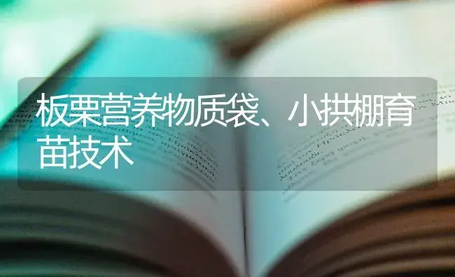 板栗营养物质袋、小拱棚育苗技术 | 特种种植