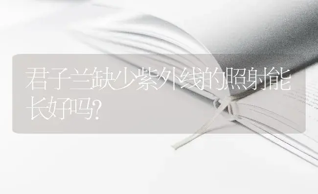 君子兰缺少紫外线的照射能长好吗？ | 绿植常识