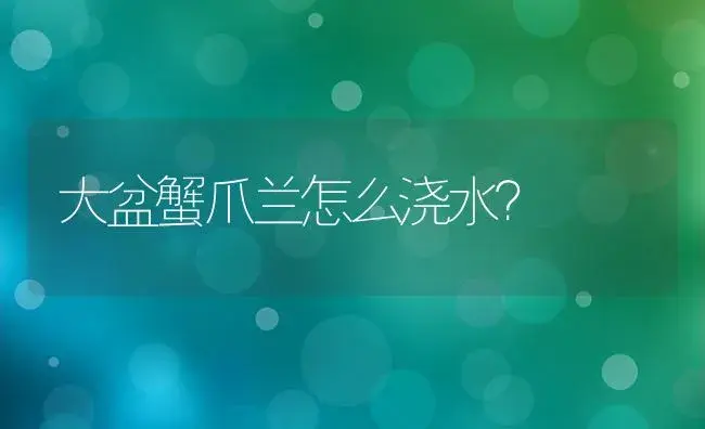 大盆蟹爪兰怎么浇水？ | 多肉养殖