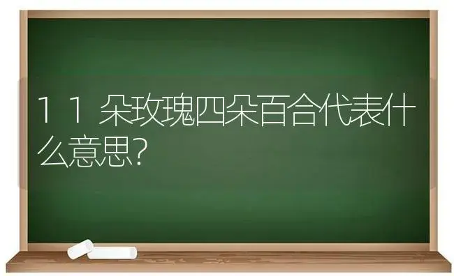 11朵玫瑰四朵百合代表什么意思？ | 绿植常识