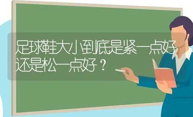 足球鞋大小到底是紧一点好还是松一点好？ | 多肉养殖