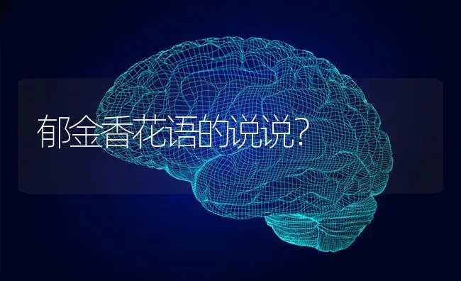 一个月哪天是月季日？ | 绿植常识