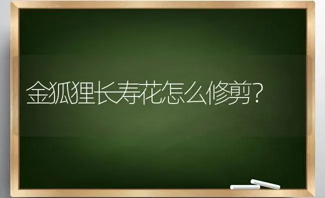 金狐狸长寿花怎么修剪？ | 多肉养殖