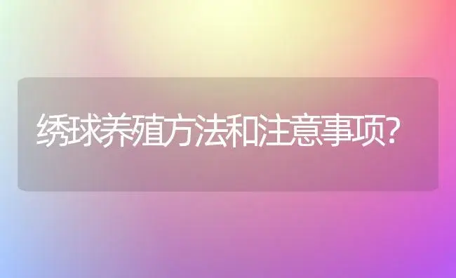 绣球养殖方法和注意事项？ | 绿植常识