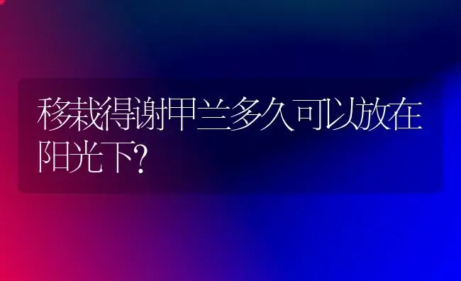 移栽得谢甲兰多久可以放在阳光下？ | 多肉养殖