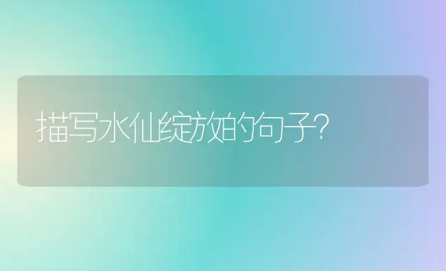 描写水仙绽放的句子？ | 绿植常识