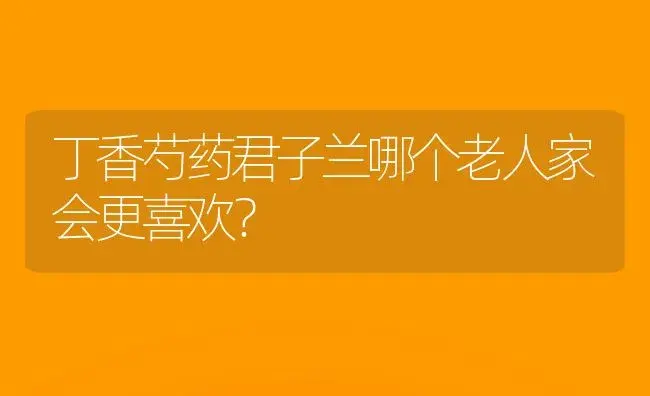 丁香芍药君子兰哪个老人家会更喜欢？ | 绿植常识