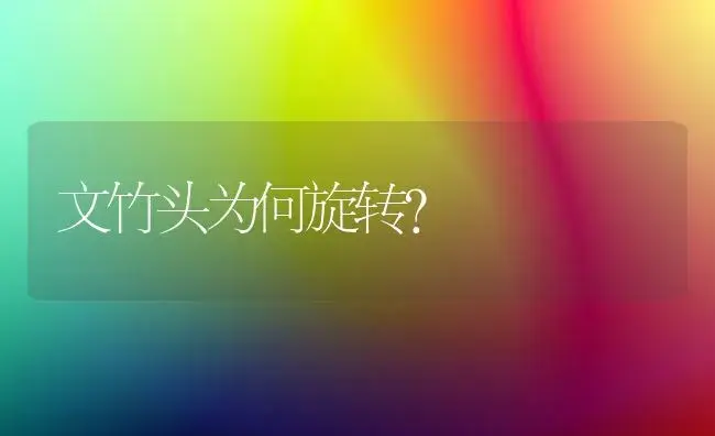 文竹头为何旋转？ | 家庭养花