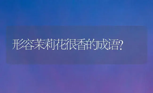 康乃馨的花语和赠送对象赠送原因？ | 绿植常识