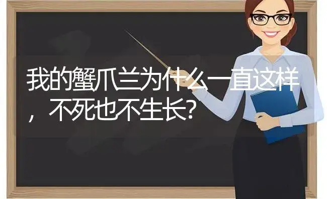 我的蟹爪兰为什么一直这样,不死也不生长？ | 多肉养殖