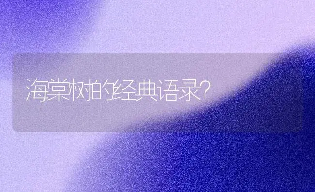 海棠树的经典语录？ | 绿植常识