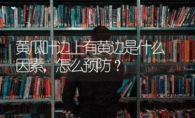 黄瓜叶边上有黄边是什么 因素，怎么预防？ | 果木种植