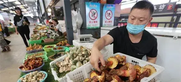 云南昆明篆新野生菌市场开街 上市野生菌量多价跌